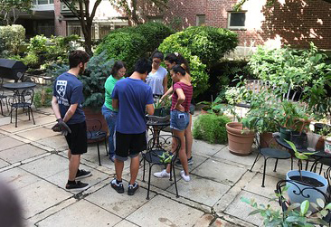 Students working in the KCECH garden
