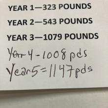 Year 1 - 323 pounds; Year 2 - 543 pounds; Year 3 - 1079 pounds; Year 4 - 1008 pounds; Year 5 = 1147 pounds