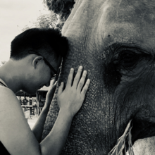 Xiong Her greets an elephant
